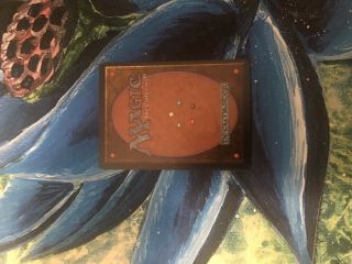 WHEEL OF FORTUNE - MTG - Revised 3rd Edition Magic the Gathering 1x NM/LP 2