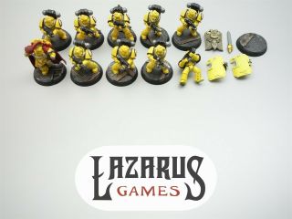 Warhammer 40k Imperial Fists Space Marines W/ 30k Captain