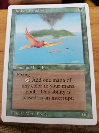 Magic The Gathering Revised Edition Birds Of Paradise