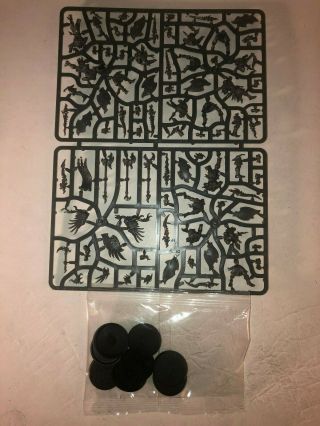 Warhammer Age Of Sigmar Aos Disciples Of Tzeentch Kairic Acolyts X10 On Sprue B
