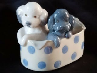 Nao By Lladro Daisa 1988 Bichon Dogs In The Box W/blanket Figurine Spain