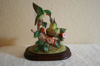 Andrea By Sadak Ruby Throated Hummingbird Bird Figurine Ln No Box Vintage