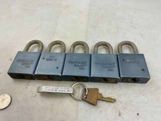 American Lock Company Usa Padlocks,  Bundle Of 5,  Keyed Alike,