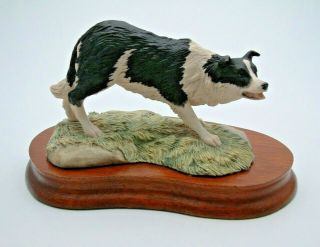 Border Fine Arts Collie Dog - Sweep Jh58 All Things Wise & Wonderful - Perfect