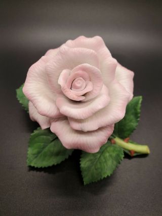 Lenox Fine Porcelain Pink Tea Rose Flower