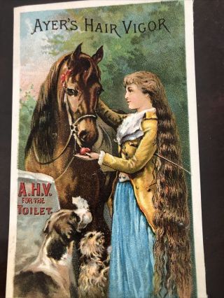 Ayers Hair Vigor Medicine Advertising Card Showing Horse And Dogs