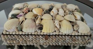 Vintage Jewlery / Trinket Hand Made Sea Shell Box