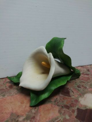 Lenox Fine Porcelain Calla Lilly White Flower Figurine