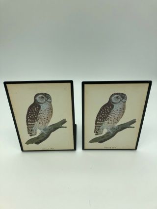 Midcentury Vintage Staver Metal Bookends With Illustration Of " Little Owl " Birds