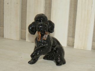 Poodle - Black - Sitting - With - Paw - Up - And - A - Leash - In - Mouth - Goebel - West - Germany