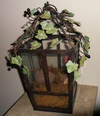 Rustic Metal Ivy Covered Glass Floral Bird Cage Home Decoration Feathered Birds