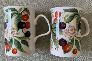 Set Of 2,  1999 Roy Kirkham Sweet Cherry Fruit Fine Bone China Coffee Tea Cup Mug