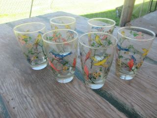 Set Of 6 Vintage Drinking Glass Glasses Tumbler Hand Painted Birds
