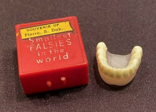 Vintage Smallest Falsies In The World Novelty Souvenir Of Pierre South Dakota