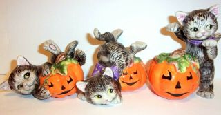 Set Of 3 Fitz And Floyd Cats On Jol Pumpkins Figurines Halloween Kitty Decor