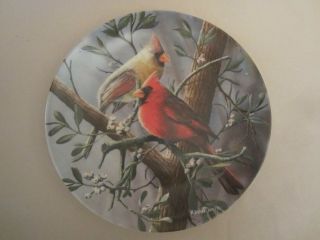 Cardinal Collector Plate Kevin Daniel Birds Of Your Garden 1 Bird