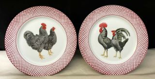 The Haldon Group - Devonshire Set Of Roosters Hen 7.  5 " Salad Plates Exc.  Cond.