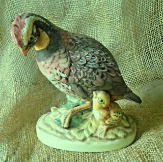 Vintage Andrea By Sadek Colorful Porcelain Bobwhite Quail & Chick Figurine