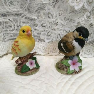 Vintage Set Of 2 Andrea By Sadek Porcelain Bird Figurines Canary & Chickadee