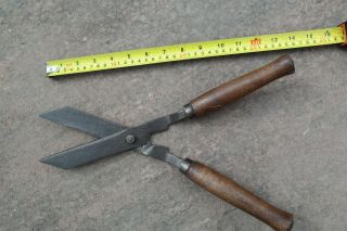 Vintage Small Garden Shears Or Grass Clippers,  Topiary,  Borders,  Churchyard
