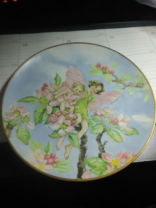 Flower Fairies Series 6 Apple Blossom Fairy Plate Villeroy Boch Cicely M Barker