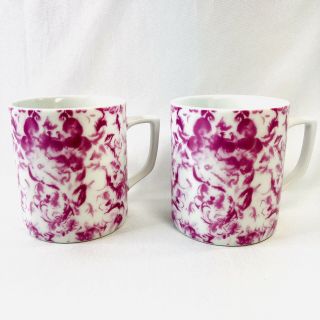 Barnes And Noble Mugs Set Of 2 Pink Floral 2006 Collectible Coffee Tea 14 Oz