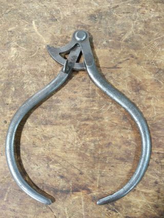 19th C Blacksmith Hand Forged Iron 10 " Outside Winged Caliper Marked Leech