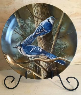 KNOWLES Decorative Bird Art Plate - The Blue Jay - Kevin Daniel 3