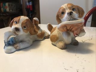 Set Of 2 Vintage Homco Porcelain Cocker Spaniel Dog Figurines With Shoe Puppies