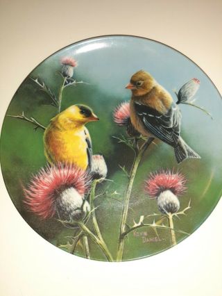 Knowles 1987 Encyclopaedia Britannica The Goldfinch Birds Of Your Garden Plate