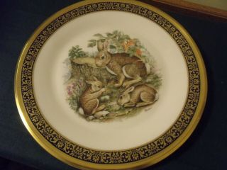 Lenox Boehm Annual Limited Issue Cottontail Rabbits Woodland Wildlife Plate 1982