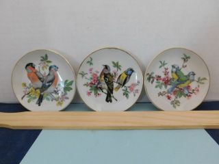 Set Of 3 Porcelain Plate Birds Flowering Branch Gold Trim Bedrock Collectibles