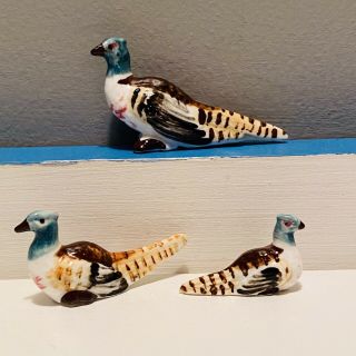 Miniature Birds Ceramic Bone China Pheasants Occupied Japan Figurine Family Of 3
