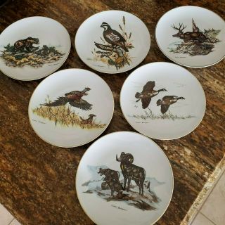 6 Limited Edition Clark Bronson Collector Plates Wildlife,  Birds,  Euc
