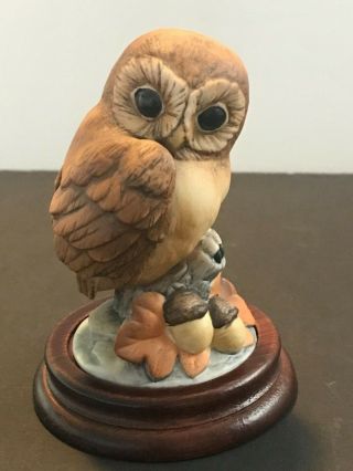 Vintage Andrea By Sadek Baby Owl Porcelain Bisque Bird Figurine 6350 5 " Height