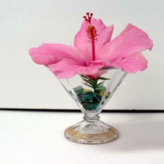 Glass Hibiscus Flower Holder Clear /gold Trim Display Roses Iris Fake Flowers 6 "