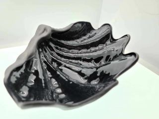 ULTRA RARE Wedgwood BLACK Basalt Nautilus Clam,  Shell,  12 inch Serving bowl 2