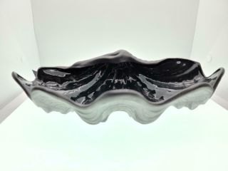 ULTRA RARE Wedgwood BLACK Basalt Nautilus Clam,  Shell,  12 inch Serving bowl 3
