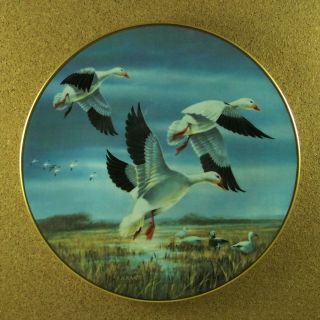 Snow Geese Against November Skies Plate Classic Waterfowl: The Ducks Unlimited