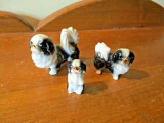 3 Maltese/havanese/japanese Chin Miniature White/ Black Bone China Dog Figurines