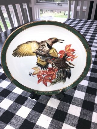 " Flickers " Decorative Plate From The Songbirds Of Roger Tory Peterson
