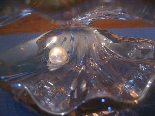 Lg.  Swarovski Crystal " Pearl Oyster  - Retired 1075308 - Orig Box
