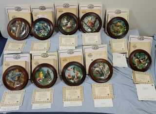 Encyclopedia Britannica Birds Of Your Garden Collector Plates Frames Boxes