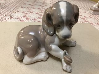 Lladro.  Dog With Snail On Paw.  1139.  Made In 1971 By Hueita.  Retired 1981.
