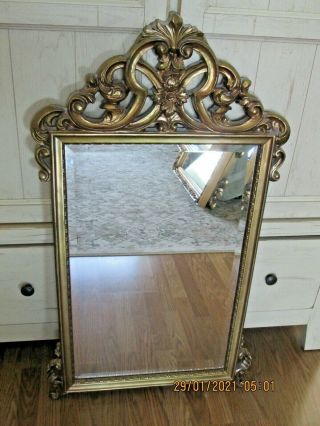Vintage Carolina Wall Mirror Ornate Gold Frame 23 X 41 "