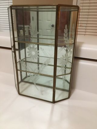 Mirrored Glass & Brass Curio Cabinet Display Case Etched Hummingbird & Flowers