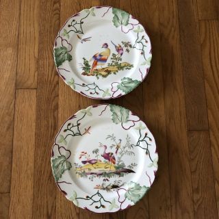 Set Of 2 Chelsea House Porcelain Exotic Birds Of Paradise Decorative Plates 10.  5