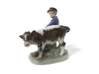 Porcelain Figurine " Boy With Calf ".  Denmark,  Copenhagen,  Royal Copenhagen 772