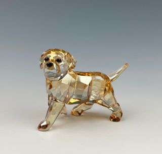 Swarovski Crystal Golden Retriever Puppy Standing No Box