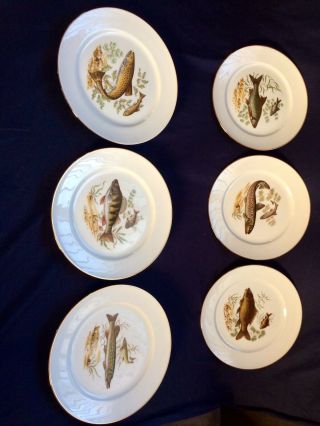 Kuba Porzellan Bavaria Germany Porcelain Fish Dinner Plate 9 3/5  Set of 6 2